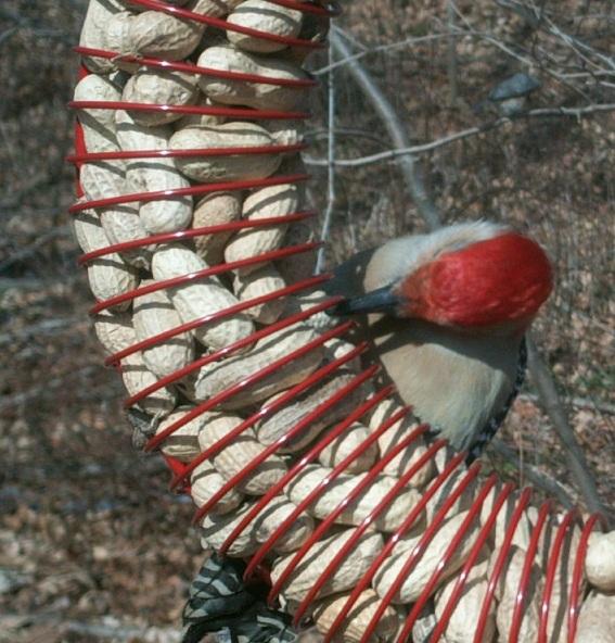 Wild Birds Unlimited Nature Shop